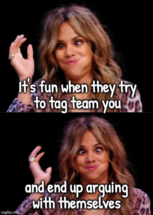 Lovely Halle Berry | It's fun when they try
to tag team you and end up arguing
with themselves | image tagged in lovely halle berry | made w/ Imgflip meme maker