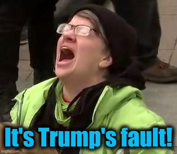 Crying liberal | It's Trump's fault! | image tagged in crying liberal | made w/ Imgflip meme maker