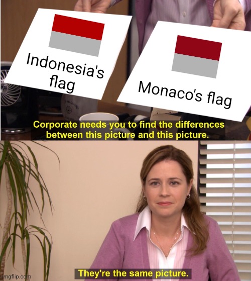 are these flags different or the same? | Indonesia's flag; Monaco's flag | image tagged in memes,they're the same picture | made w/ Imgflip meme maker