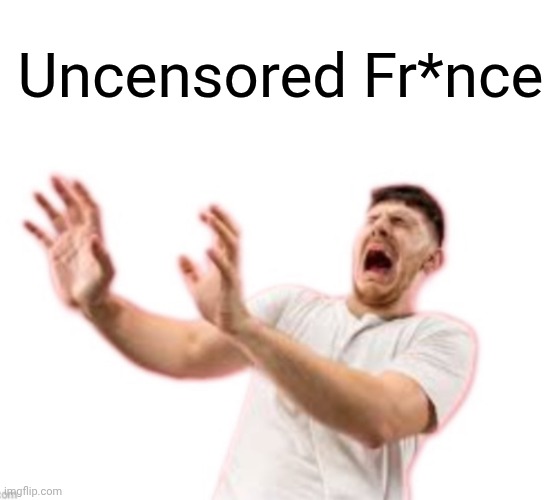 Fr*nch | Uncensored Fr*nce | image tagged in fr nch | made w/ Imgflip meme maker