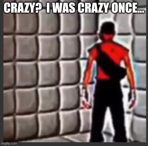 Scout goes insane | CRAZY?  I WAS CRAZY ONCE... | image tagged in scout goes insane | made w/ Imgflip meme maker