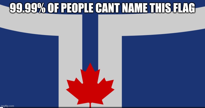 Guess the flag part 6=5 | 99.99% OF PEOPLE CANT NAME THIS FLAG | made w/ Imgflip meme maker