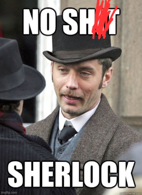 No sh*t sherolock | image tagged in no sh t sherolock | made w/ Imgflip meme maker