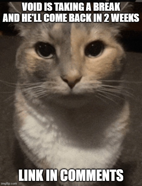 cat dead stare | VOID IS TAKING A BREAK AND HE'LL COME BACK IN 2 WEEKS; LINK IN COMMENTS | image tagged in cat dead stare | made w/ Imgflip meme maker