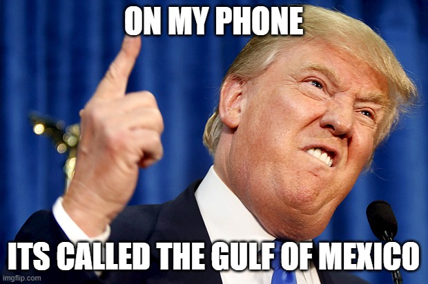 Indecisive | ON MY PHONE; ITS CALLED THE GULF OF MEXICO | image tagged in donald trump | made w/ Imgflip meme maker