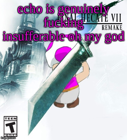 she made like 50 comments on 9geor3 today like holy shit get a job | echo is genuinely fucking insufferable oh my god | image tagged in final hecate vii thank you disco | made w/ Imgflip meme maker