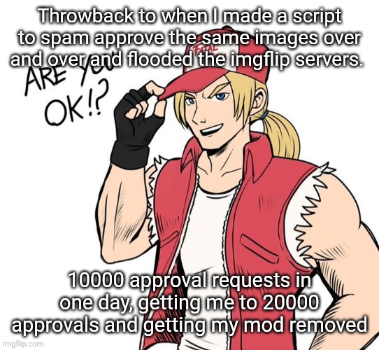 Are you okay!? | Throwback to when I made a script to spam approve the same images over and over and flooded the imgflip servers. 10000 approval requests in one day, getting me to 20000 approvals and getting my mod removed | image tagged in are you okay | made w/ Imgflip meme maker