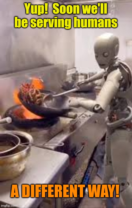 Yup!  Soon we'll be serving humans A DIFFERENT WAY! | made w/ Imgflip meme maker