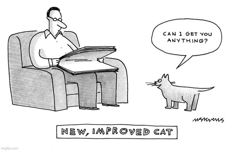 An imaginary situation, no doubt… | image tagged in cats,comics/cartoons,new improved cat | made w/ Imgflip meme maker