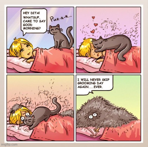 Wow. I thought my cats were big shedders… | image tagged in cats,comics/cartoons,hairy,shedding | made w/ Imgflip meme maker