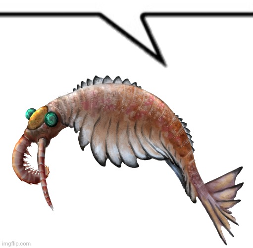 image tagged in text box r,anomalocaris | made w/ Imgflip meme maker