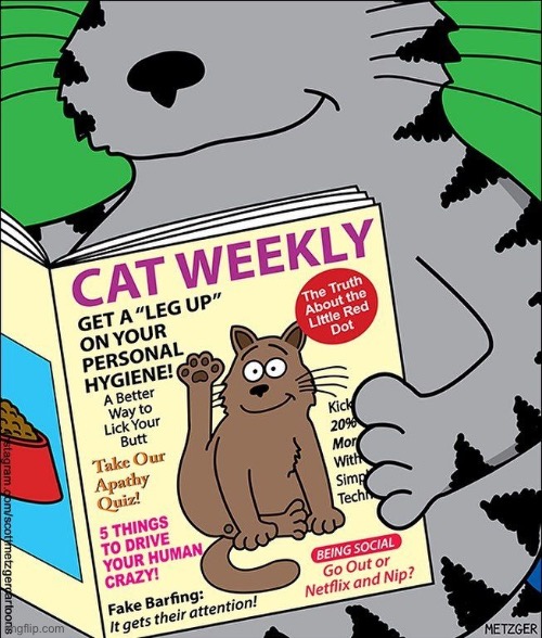 His favorite cat-related magazine… | image tagged in cats,comics/cartoons,cat weekly,magazine | made w/ Imgflip meme maker