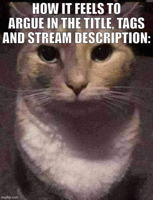 me and flare: (Flare note: Nuh uh) (GET O-) (Flare: how abt you) (im gud ty now GET-) | HOW IT FEELS TO ARGUE IN THE TITLE, TAGS AND STREAM DESCRIPTION: | image tagged in cat dead stare,sans of topic,hehe -flare,get out of the tags vro,nah,we're running out of plac | made w/ Imgflip meme maker