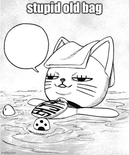 Dandadan turbo granny cat chilling at a hot springs | stupid old bag | image tagged in dandadan turbo granny cat chilling at a hot springs | made w/ Imgflip meme maker