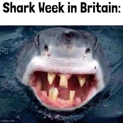No dentist needed | image tagged in memes,shark week,no dentist needed | made w/ Imgflip meme maker
