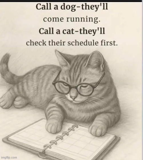 Busy schedule | image tagged in repost,busy schedule | made w/ Imgflip meme maker