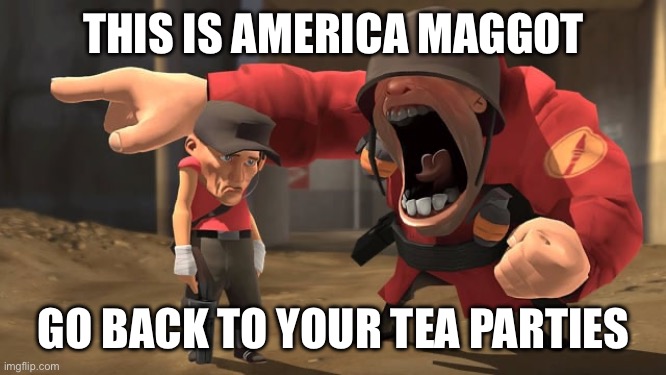 Soldier yelling at scout | THIS IS AMERICA MAGGOT GO BACK TO YOUR TEA PARTIES | image tagged in soldier yelling at scout | made w/ Imgflip meme maker