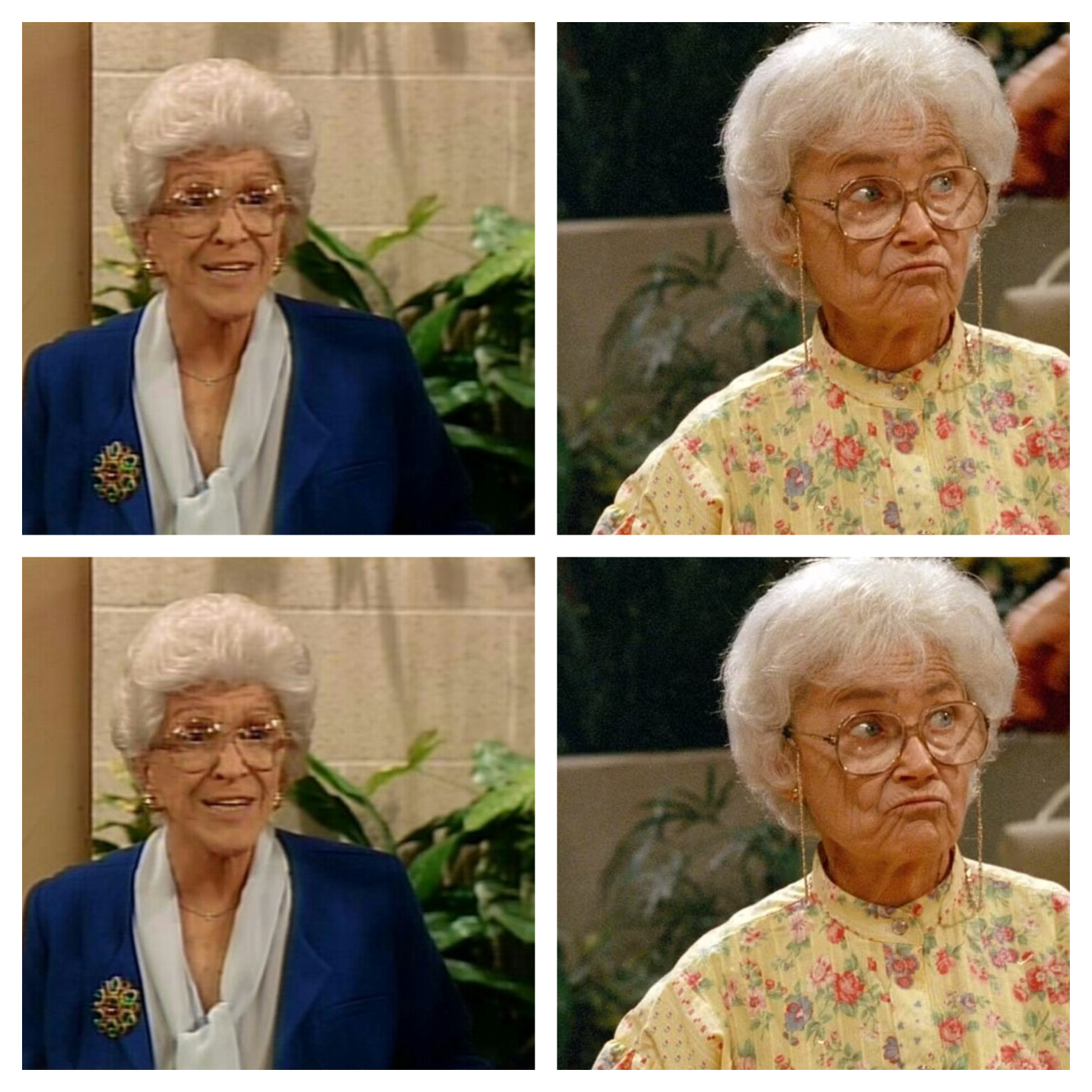 Sophia Sister Dis Blank Meme Template
