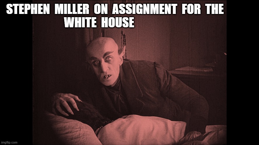 Stephen Miller: Making America Gruesome Again | STEPHEN  MILLER  ON  ASSIGNMENT  FOR  THE                          WHITE  HOUSE | image tagged in stephen miller | made w/ Imgflip meme maker