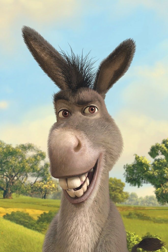 Donkey Blank Meme Template
