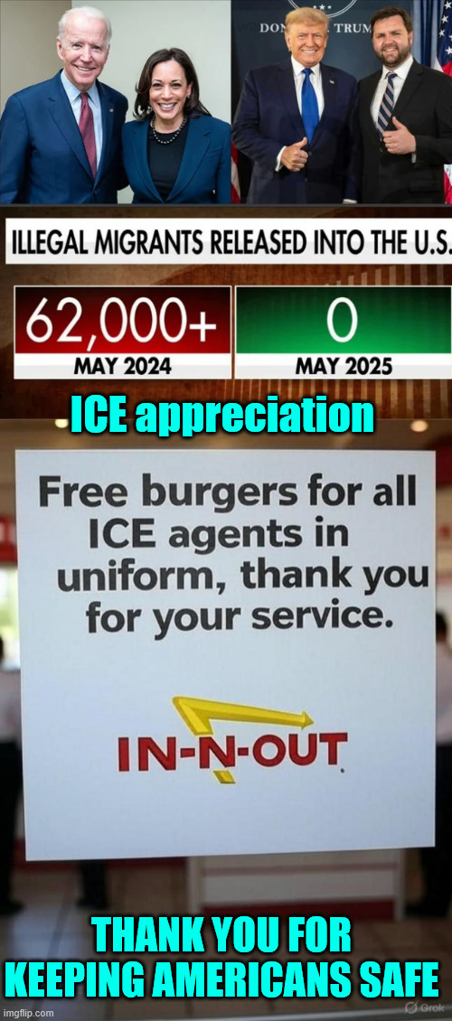 Thank you ICE | ICE appreciation; THANK YOU FOR KEEPING AMERICANS SAFE | image tagged in ice,protecting americans | made w/ Imgflip meme maker