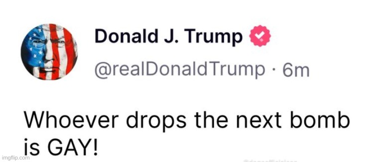 you heard the pres! | image tagged in gay,trump | made w/ Imgflip meme maker