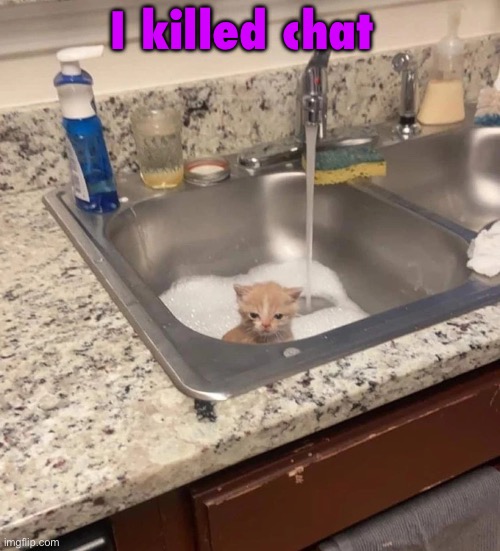 Baf | I killed chat | image tagged in baf | made w/ Imgflip meme maker