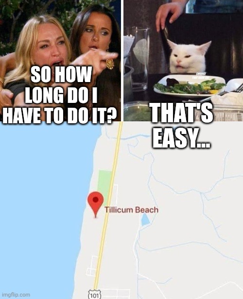 SO HOW LONG DO I HAVE TO DO IT? THAT'S EASY... | image tagged in smudge that darn cat with karen | made w/ Imgflip meme maker
