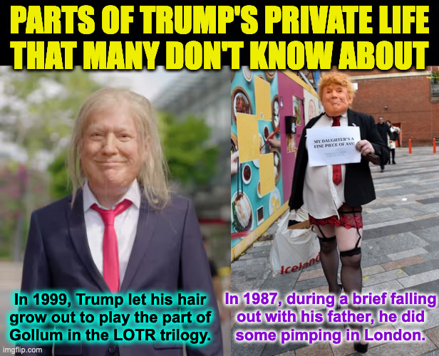 Notice how his head was still big from his cameo in Home Alone 2 (1992). | PARTS OF TRUMP'S PRIVATE LIFE
THAT MANY DON'T KNOW ABOUT; In 1987, during a brief falling
out with his father, he did
some pimping in London. In 1999, Trump let his hair
grow out to play the part of
Gollum in the LOTR trilogy. | image tagged in memes,trump,home alone,the precious | made w/ Imgflip meme maker
