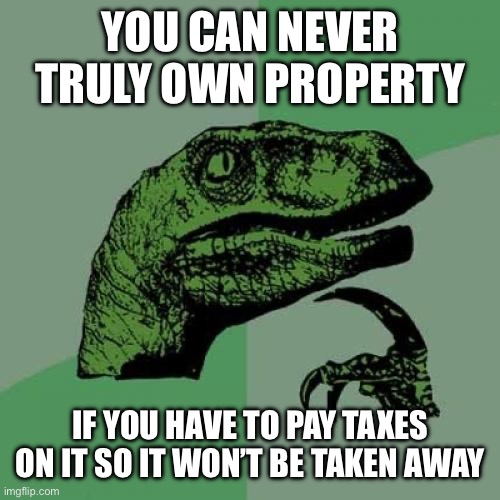 Philosoraptor | YOU CAN NEVER TRULY OWN PROPERTY; IF YOU HAVE TO PAY TAXES ON IT SO IT WON’T BE TAKEN AWAY | image tagged in memes,philosoraptor | made w/ Imgflip meme maker