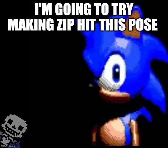 Sonic stares | I'M GOING TO TRY MAKING ZIP HIT THIS POSE | image tagged in sonic stares | made w/ Imgflip meme maker
