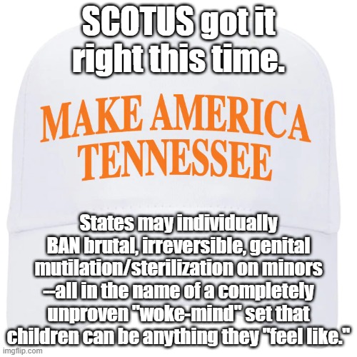 SCOTUS upholds Tennessee law. | SCOTUS got it right this time. States may individually BAN brutal, irreversible, genital mutilation/sterilization on minors --all in the name of a completely unproven "woke-mind" set that children can be anything they "feel like." | image tagged in scotus | made w/ Imgflip meme maker