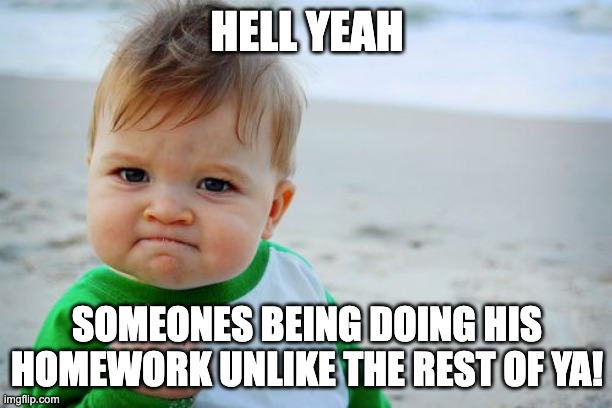 Success Kid Original Meme | HELL YEAH SOMEONES BEING DOING HIS HOMEWORK UNLIKE THE REST OF YA! | image tagged in memes,success kid original | made w/ Imgflip meme maker