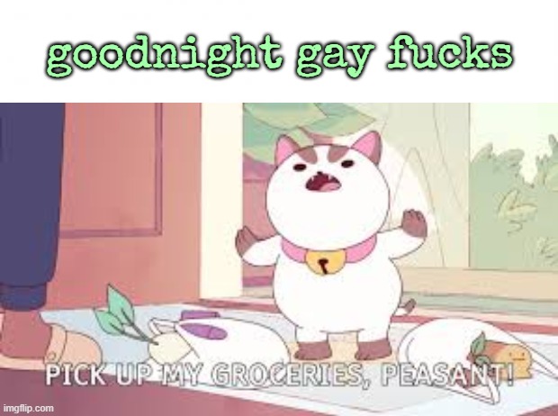 Pick up my groceries, Peasant ! | goodnight gay fucks | image tagged in pick up my groceries peasant | made w/ Imgflip meme maker