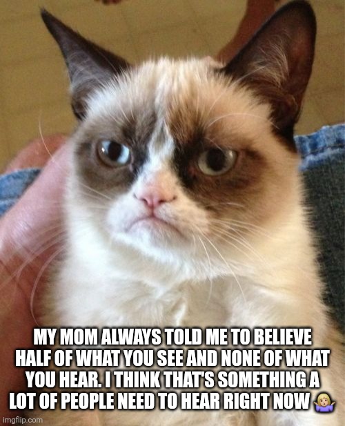 Grumpy Cat | MY MOM ALWAYS TOLD ME TO BELIEVE HALF OF WHAT YOU SEE AND NONE OF WHAT YOU HEAR. I THINK THAT'S SOMETHING A LOT OF PEOPLE NEED TO HEAR RIGHT NOW 🤷🏼‍♀️ | image tagged in memes,grumpy cat | made w/ Imgflip meme maker