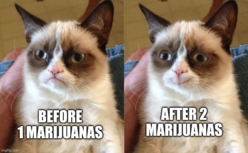 AFTER 2 MARIJUANAS; BEFORE 1 MARIJUANAS | image tagged in memes,grumpy cat,grumpy cat happy | made w/ Imgflip meme maker