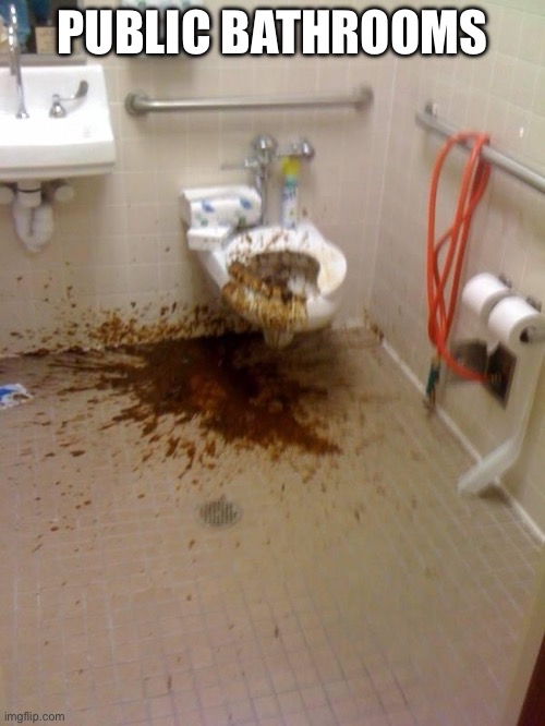 Girls poop too | PUBLIC BATHROOMS | image tagged in girls poop too | made w/ Imgflip meme maker
