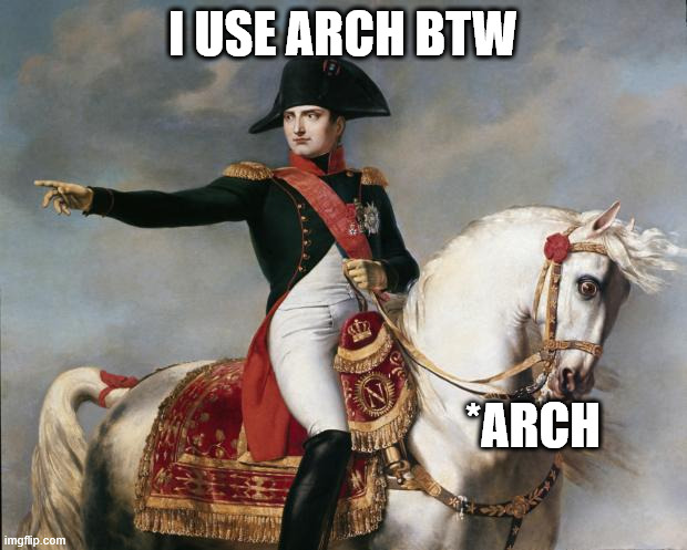 arch linux | I USE ARCH BTW; *ARCH | image tagged in napoleon bonaparte | made w/ Imgflip meme maker