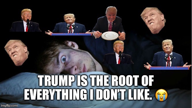 Extreme TDS | TRUMP IS THE ROOT OF EVERYTHING I DON’T LIKE. ? | image tagged in extreme tds | made w/ Imgflip meme maker