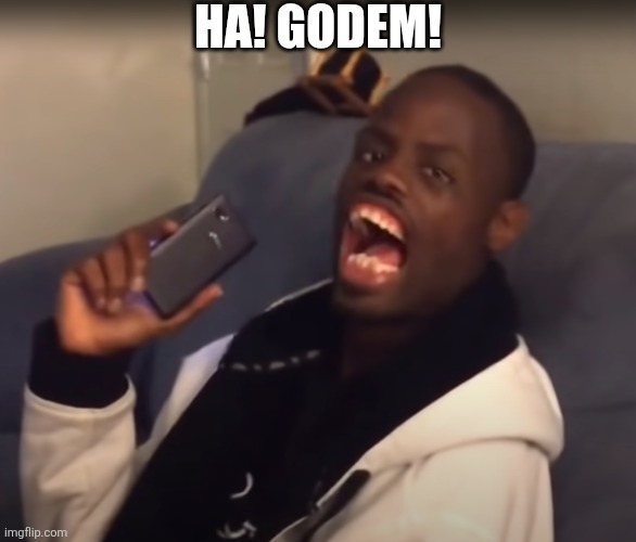 Ha Got Em | HA! GODEM! | image tagged in ha got em | made w/ Imgflip meme maker