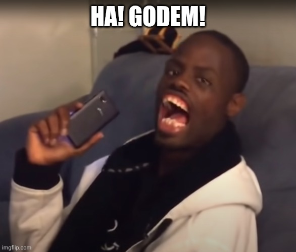 Ha Got Em | HA! GODEM! | image tagged in ha got em | made w/ Imgflip meme maker