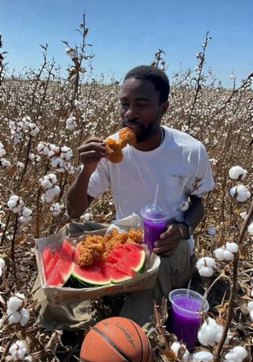 king of stereotypes | image tagged in stereotype,cotton,fried chicken,watermelon,basketball | made w/ Imgflip meme maker