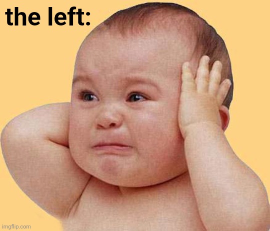 Crying baby hands over ears not listening | the left: | image tagged in crying baby hands over ears not listening | made w/ Imgflip meme maker