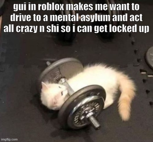 cat working out | gui in roblox makes me want to drive to a mental asylum and act all crazy n shi so i can get locked up | image tagged in cat working out | made w/ Imgflip meme maker