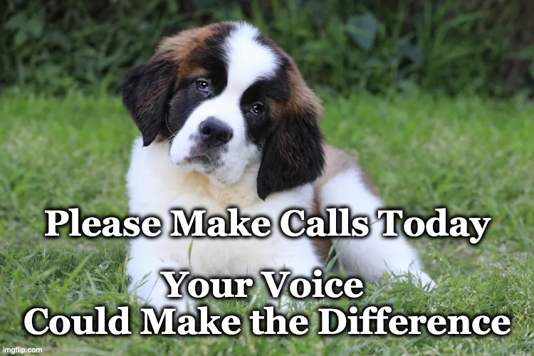 St.B Your Voice Make Diff | Please Make Calls Today; Your Voice 
Could Make the Difference | image tagged in your voice make diff,st b make calls | made w/ Imgflip meme maker