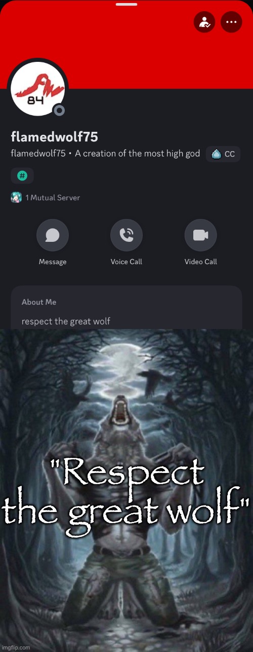 "Respect the great wolf" | image tagged in alpha wolf | made w/ Imgflip meme maker