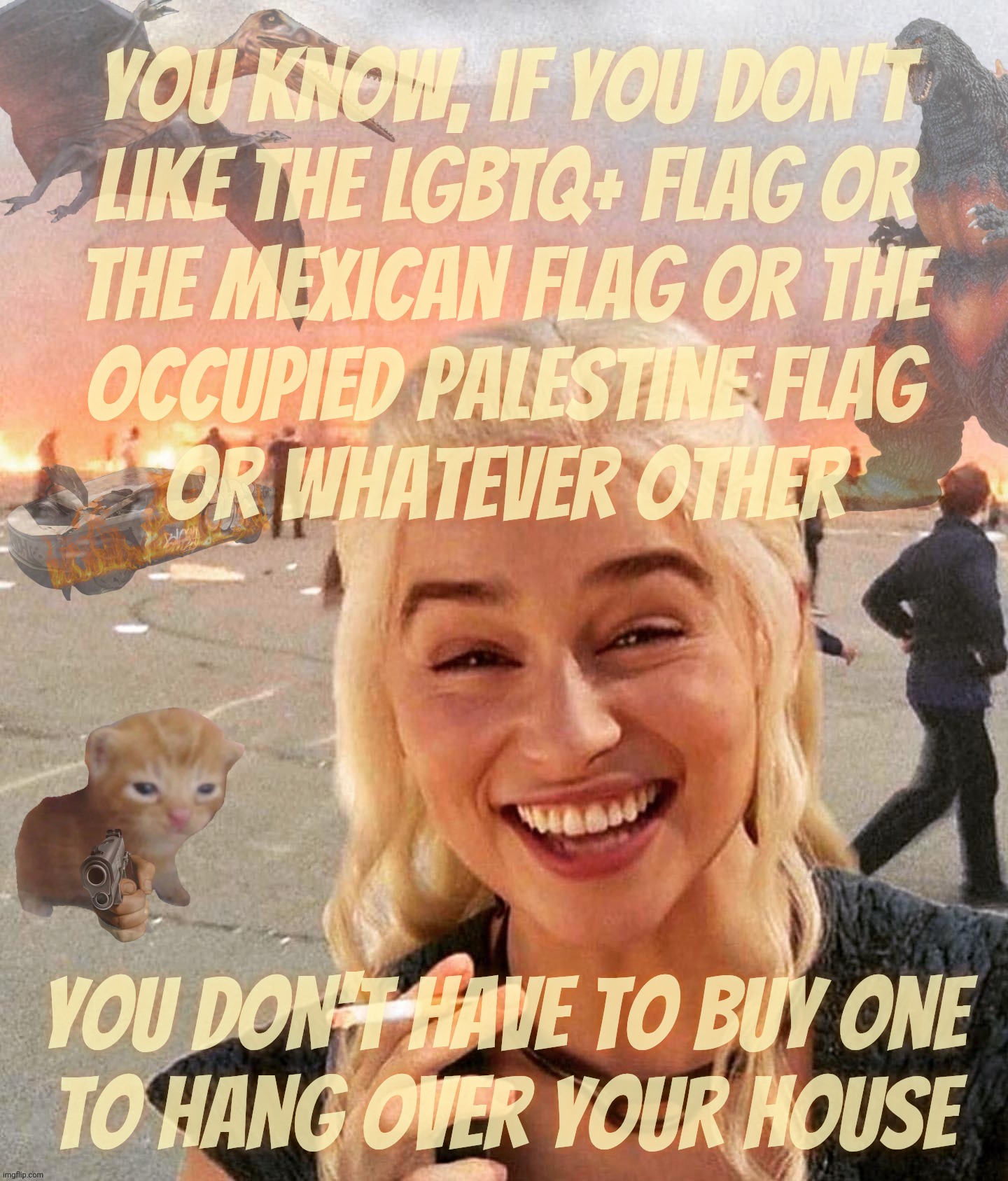MAGAts offended by every flag.... except the Confederate one | You know, if you don't
like the LGBTQ+ flag or
the Mexican flag or the
occupied Palestine flag
or whatever other; you don't have to buy one
To hang over your house | image tagged in disaster smoker gal kitchen sink condition,daenerys,lgbtq flag,magat obsession,if you don't like it don't wave it,get a hobby | made w/ Imgflip meme maker