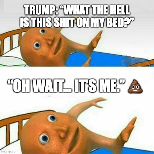 Trump is a piece of shit | TRUMP: “WHAT THE HELL IS THIS SHIT ON MY BED?”; “OH WAIT… IT’S ME.” 💩 | image tagged in trump,shit,republicans,conservatives,right wing,maga | made w/ Imgflip meme maker