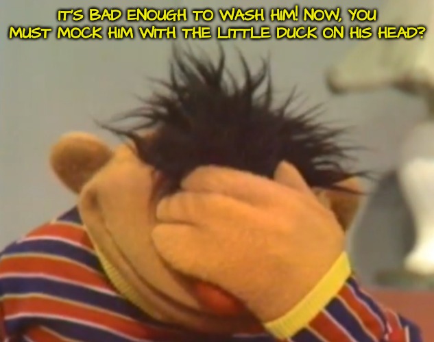 Ernie doh | IT'S BAD ENOUGH TO WASH HIM! NOW, YOU MUST MOCK HIM WITH THE LITTLE DUCK ON HIS HEAD? | image tagged in ernie doh | made w/ Imgflip meme maker