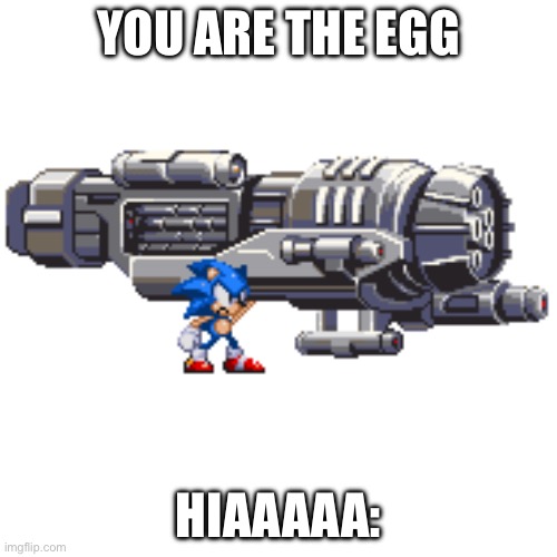 Sonic wants to kill you | YOU ARE THE EGG; HIAAAAA: | image tagged in haaaa | made w/ Imgflip meme maker